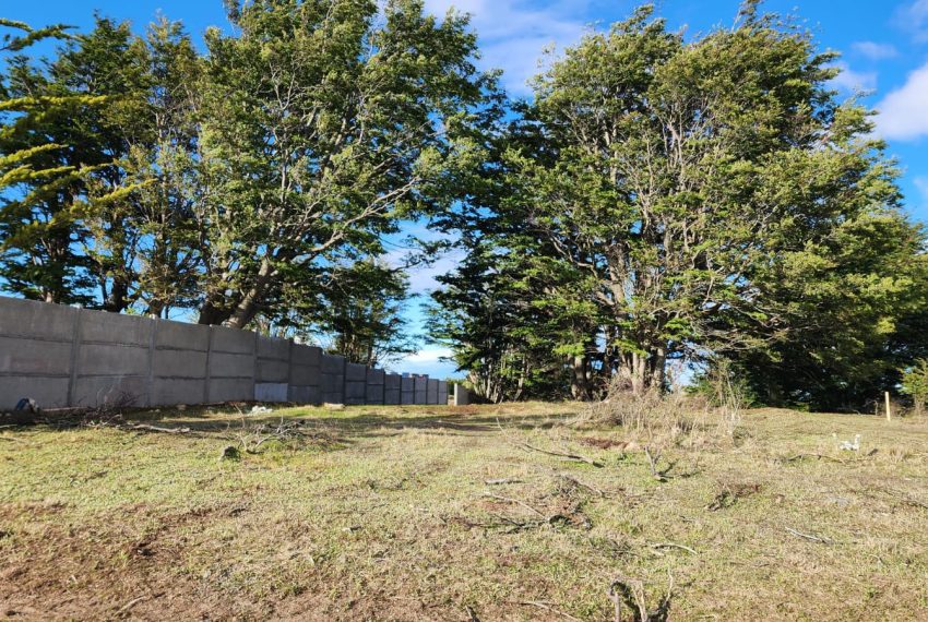 Imagen de WhatsApp 2025-11-28 a las 17.40.05_104cc70a