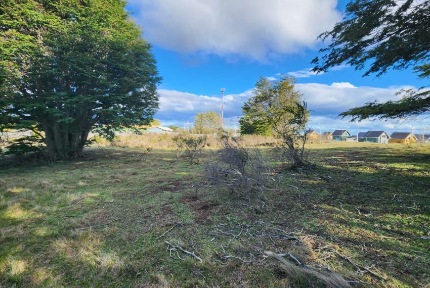 WhatsApp Image 2025-11-28 at 5.39.59 PM (1)