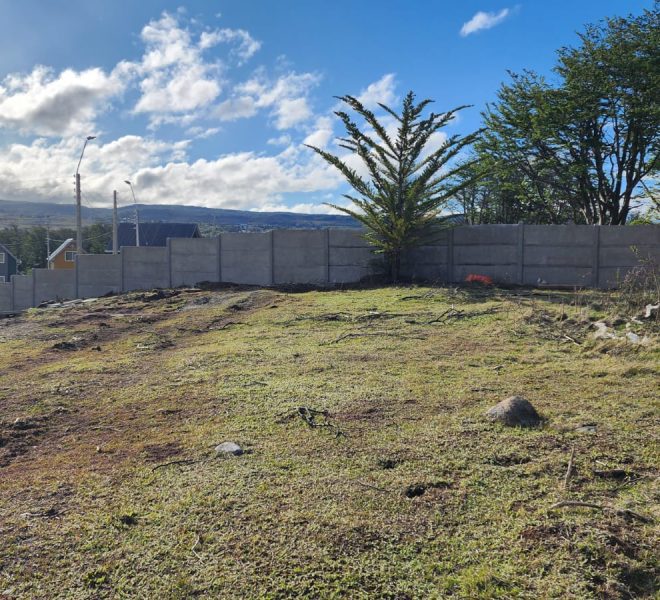 WhatsApp Image 2025-11-28 at 5.40.03 PM