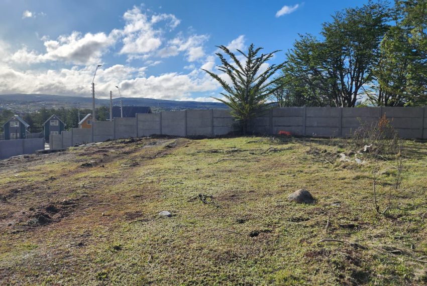 WhatsApp Image 2025-11-28 at 5.40.03 PM