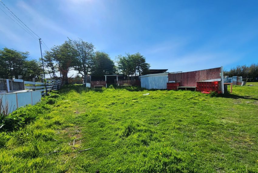 WhatsApp Image 2025-11-28 at 5.40.51 PM (1)