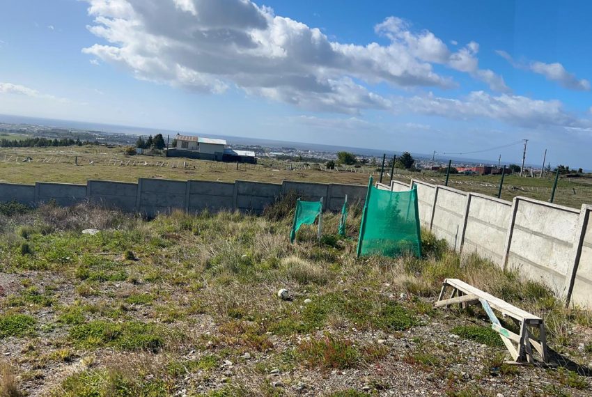 WhatsApp Image 2025-12-18 at 7.57.32 PM (2)