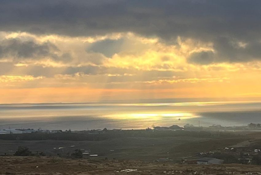 WhatsApp Image 2025-12-18 at 7.57.57 PM (1)