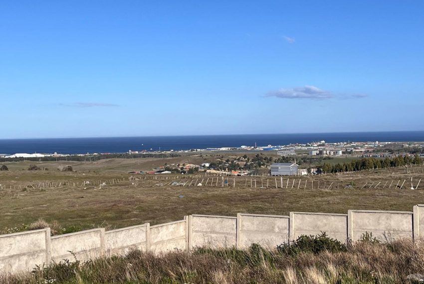 WhatsApp Image 2025-12-18 at 7.58.16 PM