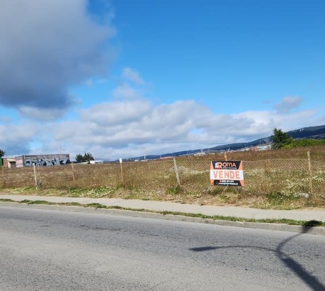 WhatsApp Image 2026-01-15 at 11.12.39 AMK