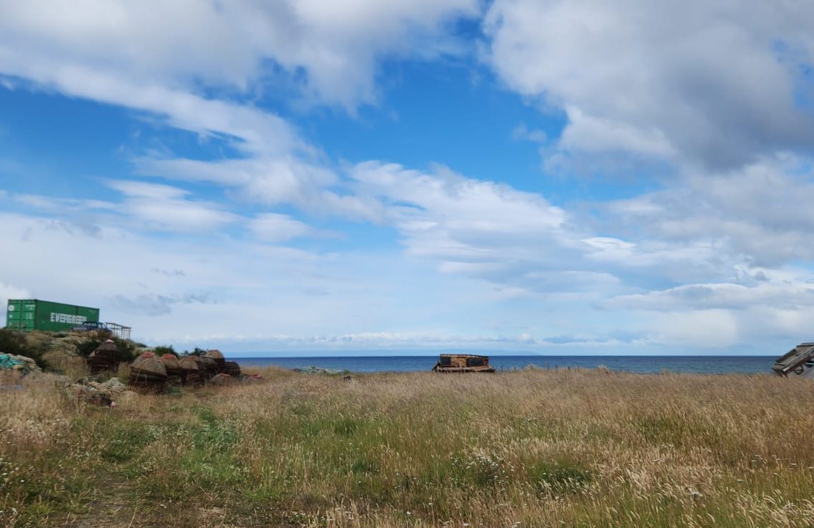 WhatsApp Image 2026-02-12 at 10.30.15 AM