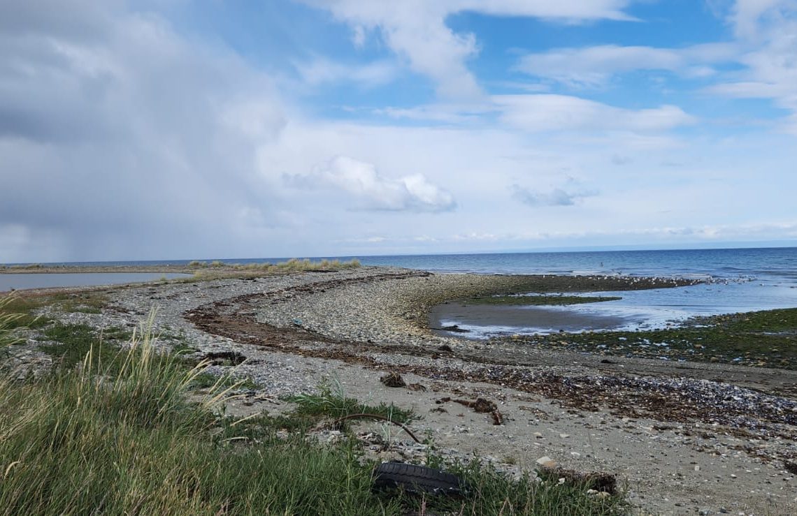 WhatsApp Image 2026-02-12 at 10.30.16 AM