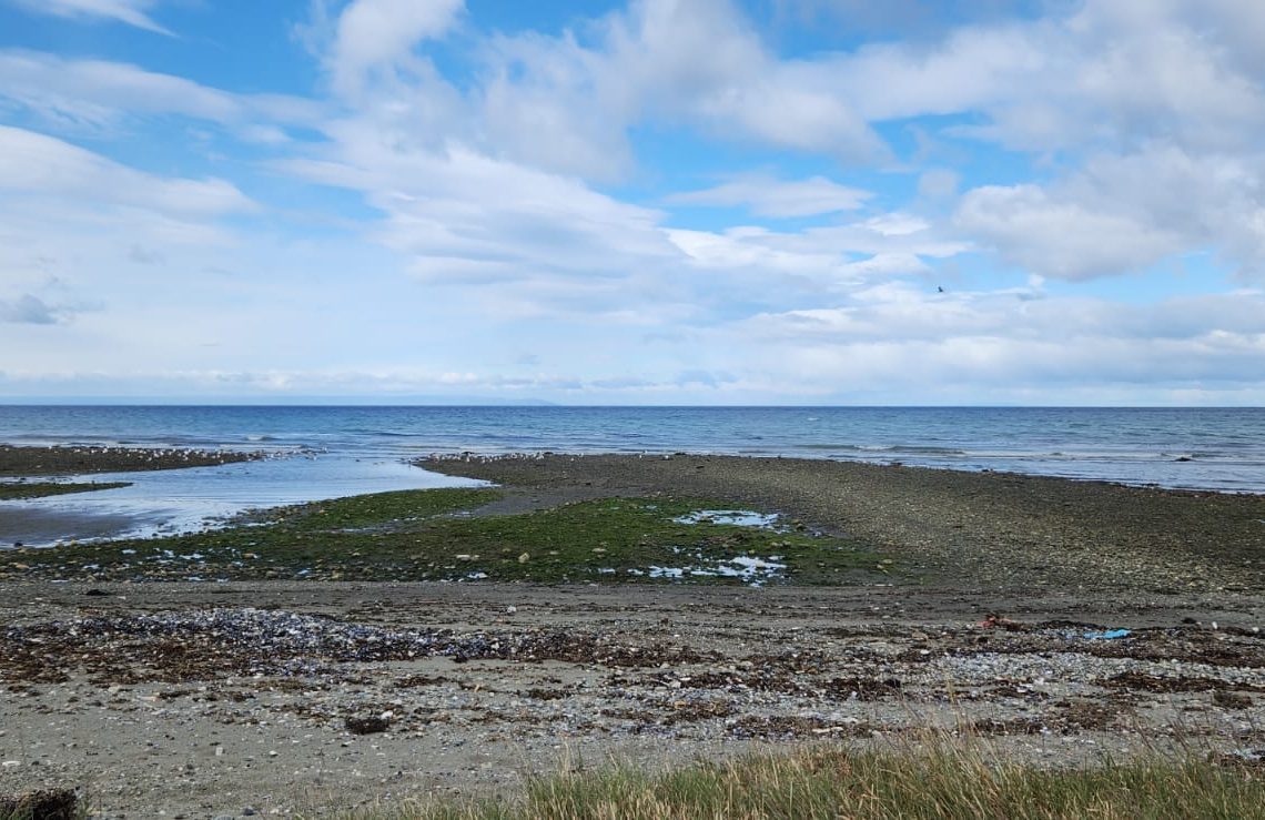 WhatsApp Image 2026-02-12 at 10.30.18 AM