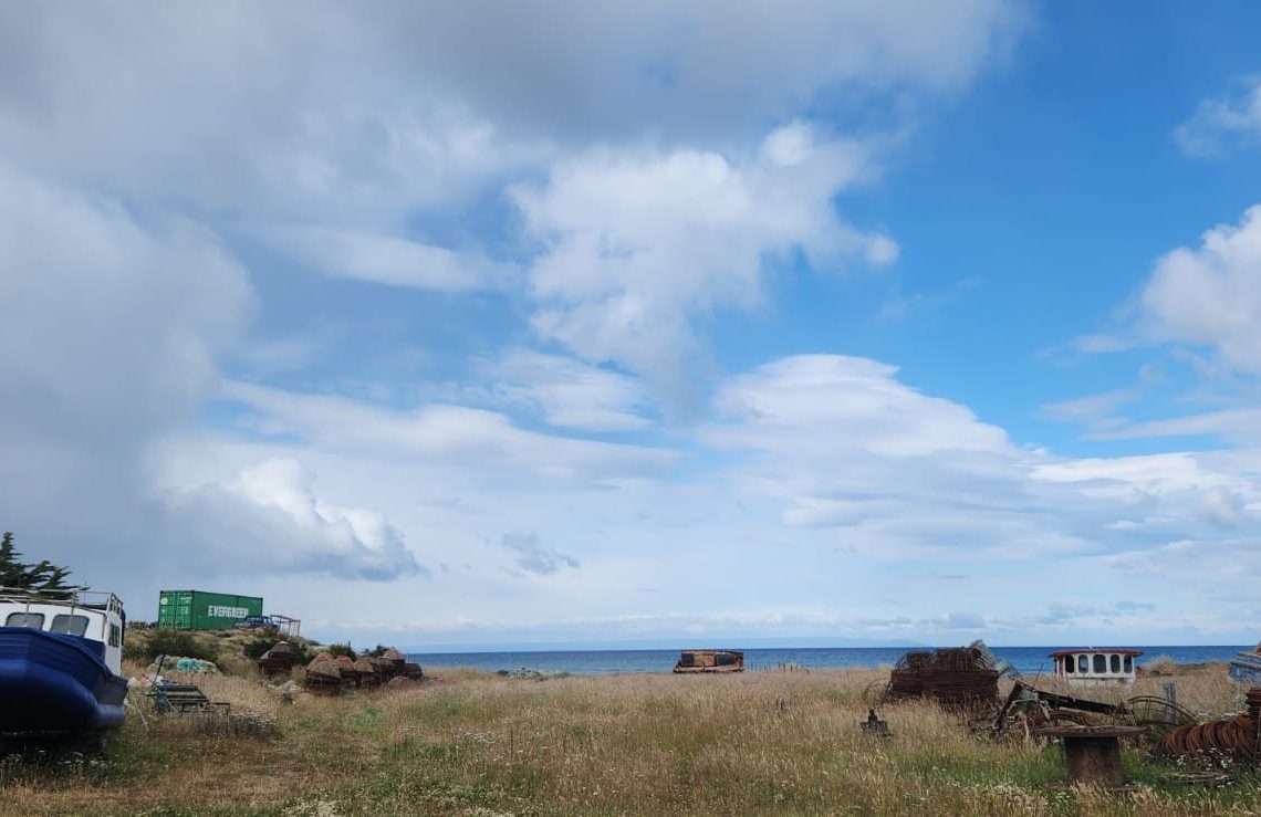 WhatsApp Image 2026-02-12 at 10.30.20 AM