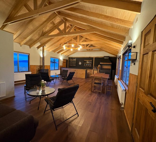 WhatsApp Image 2026-02-17 at 11.02.50 AM