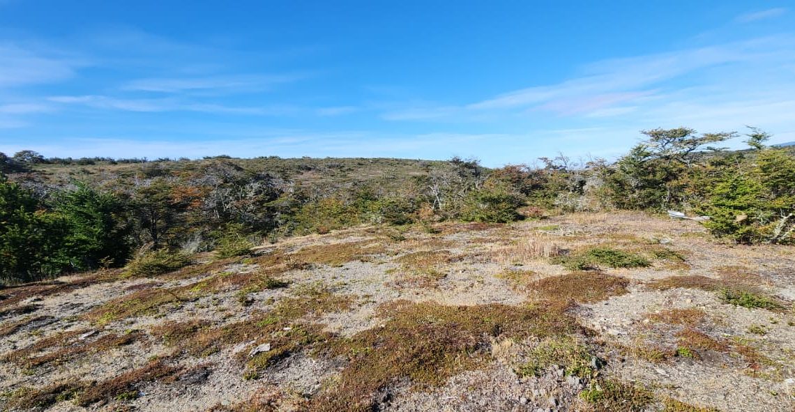 WhatsApp Image 2026-02-25 at 5.59.55 PM