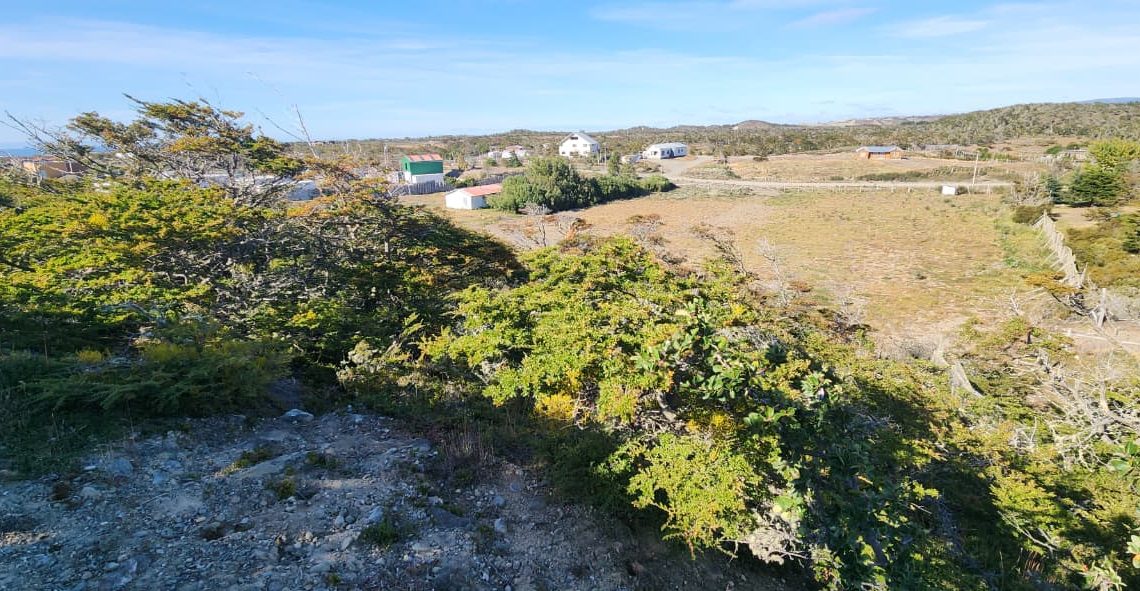 WhatsApp Image 2026-02-25 at 6.00.38 PM