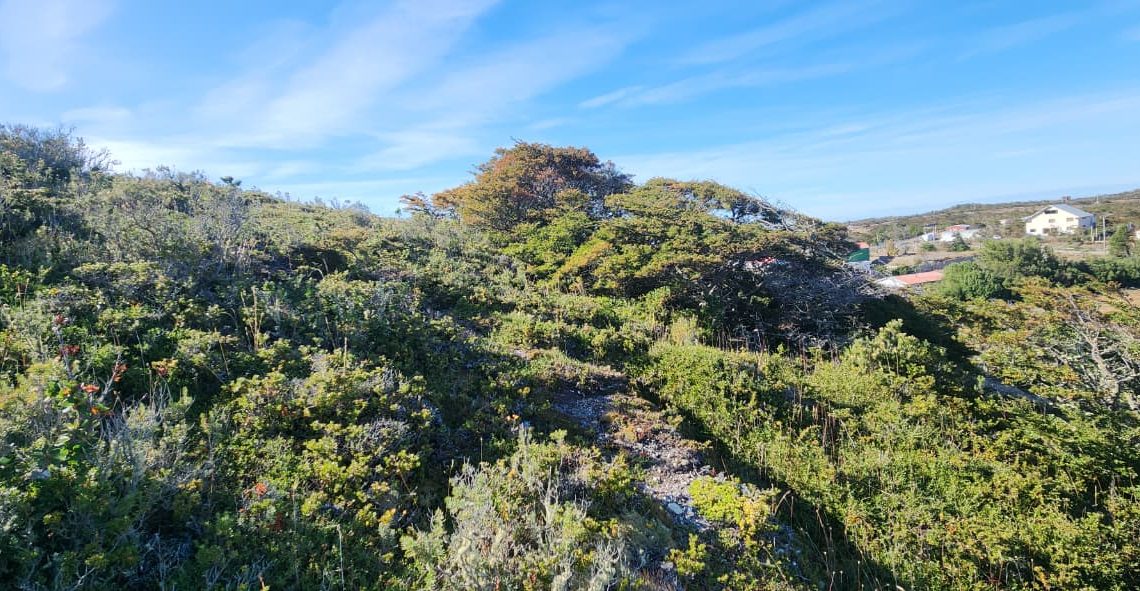 WhatsApp Image 2026-02-25 at 6.00.49 PM (1)