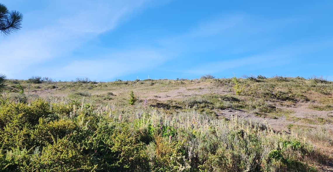 WhatsApp Image 2026-02-25 at 6.00.53 PM