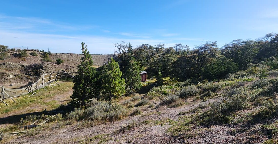 WhatsApp Image 2026-02-25 at 6.00.54 PM (1)