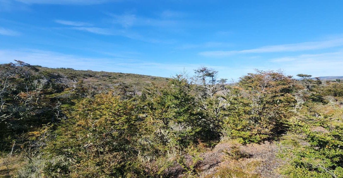 WhatsApp Image 2026-02-25 at 6.00.55 PM