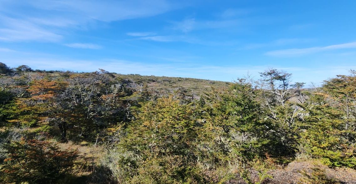 WhatsApp Image 2026-02-25 at 6.00.56 PM