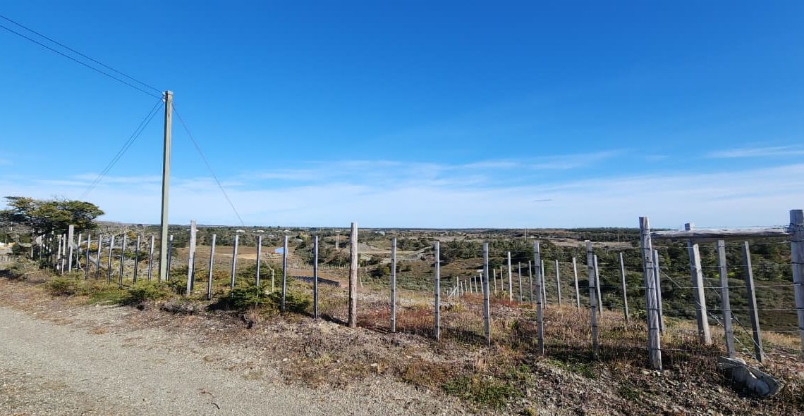 WhatsApp Image 2026-02-25 at 6.00.58 PM