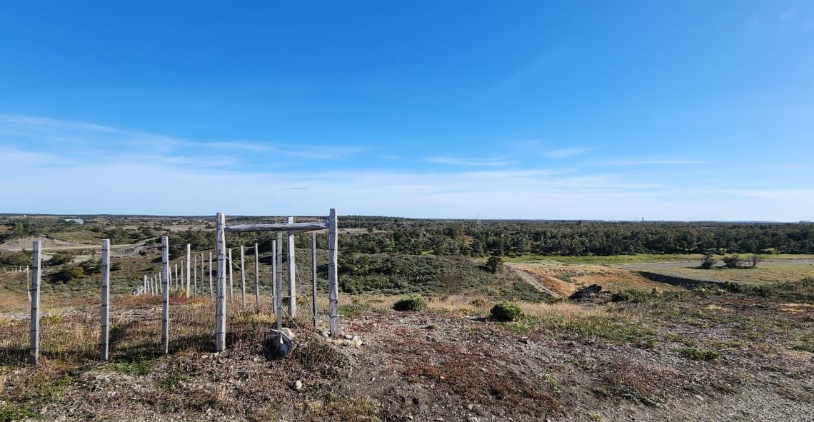 WhatsApp Image 2026-02-25 at 6.00.59 PM (1)