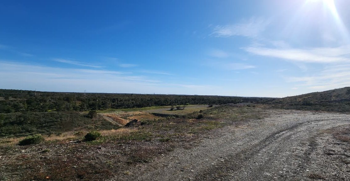 WhatsApp Image 2026-02-25 at 6.01.00 PM