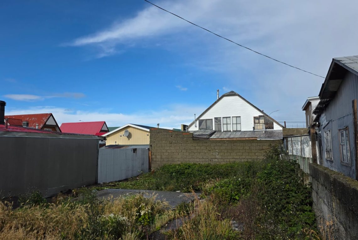 WhatsApp Image 2026-03-25 at 4.26.58 PM (1)