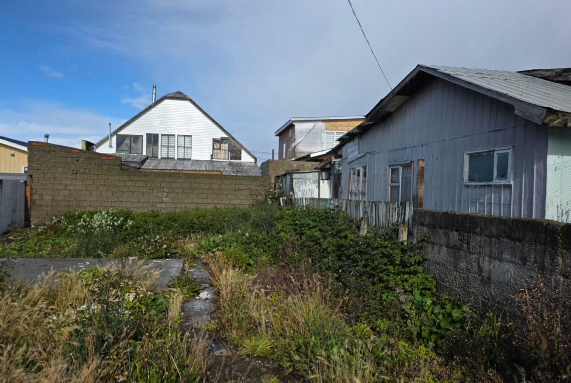 WhatsApp Image 2026-03-25 at 4.26.58 PM (2)